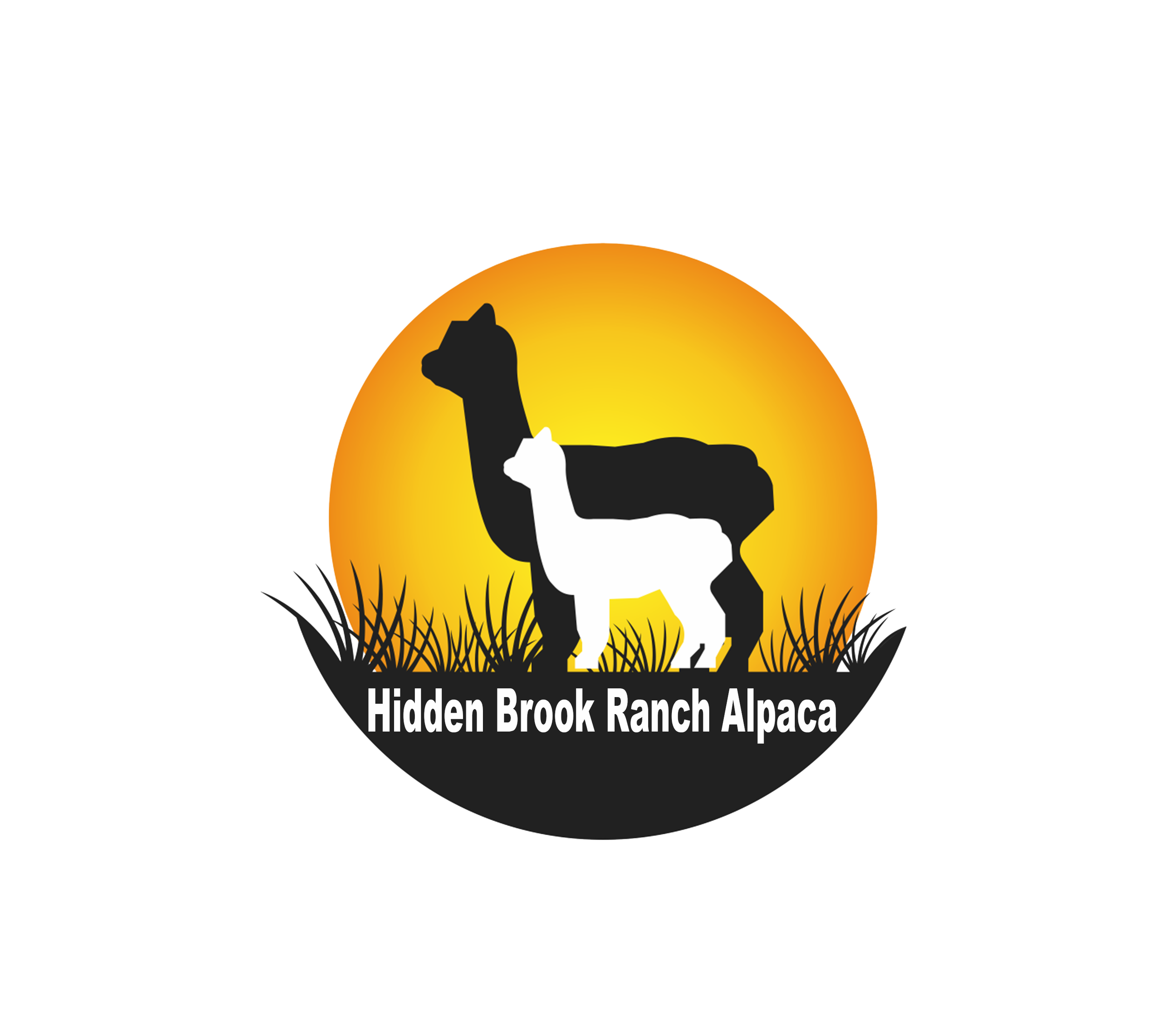 Llamas and Friends Scratch and Sketch – Buck Brook Alpacas